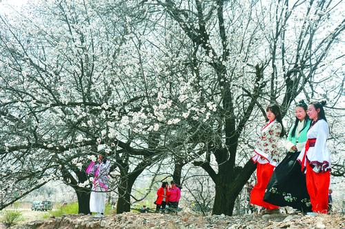 小九直播界面预览